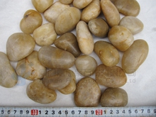 Yellow Pebble stone
